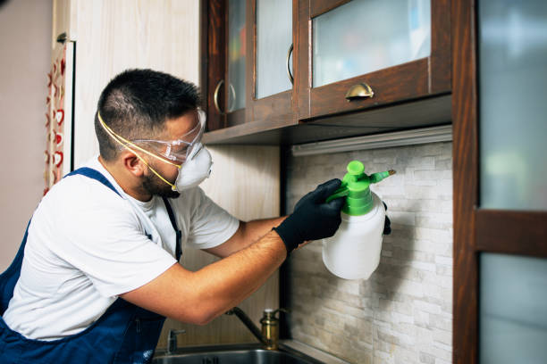 Reliable Truth Or Consequences, NM Pest Control Solutions