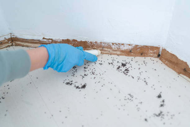 Best Pest Removal Services  in Truth Or Consequences, NM
